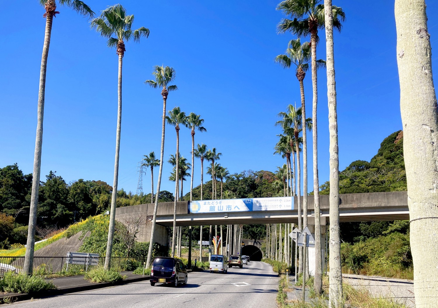 富津館山道路ならびに国道127号の早期の4車線化で防災力強化