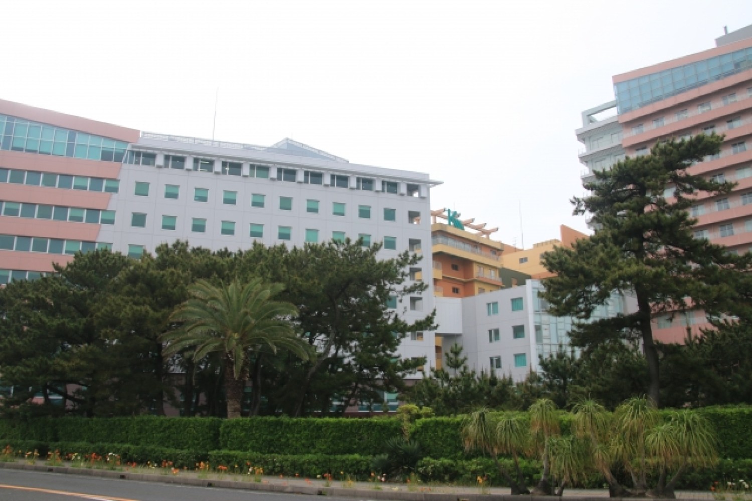 館山鴨川線（高規格道路）の一宮への延伸計画を後押しし、観光と医療アクセスの向上を目指す